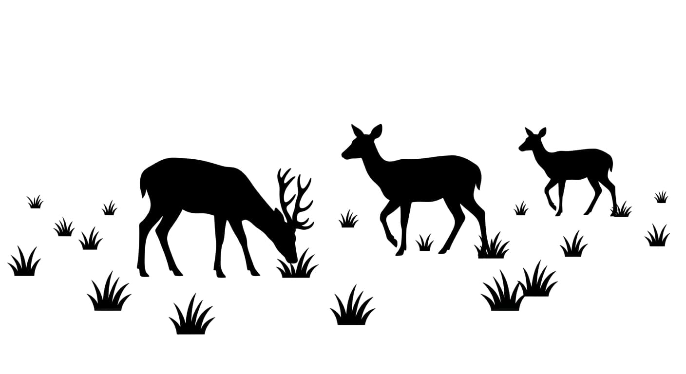 Deer moving through a quiet field